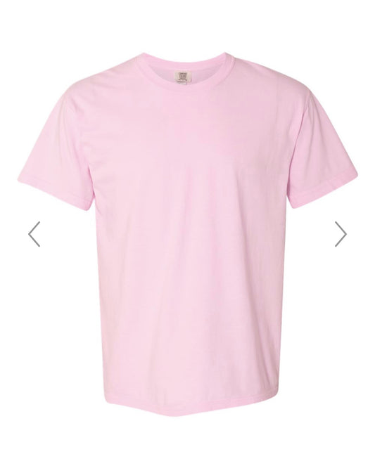 Lions Pinstripe Bow Comfort Colors Tee – Blossom