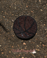 Sequin Basketball Patch – Brown & Black Appliqué Patch