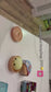 Dumplings Squishy Toys
